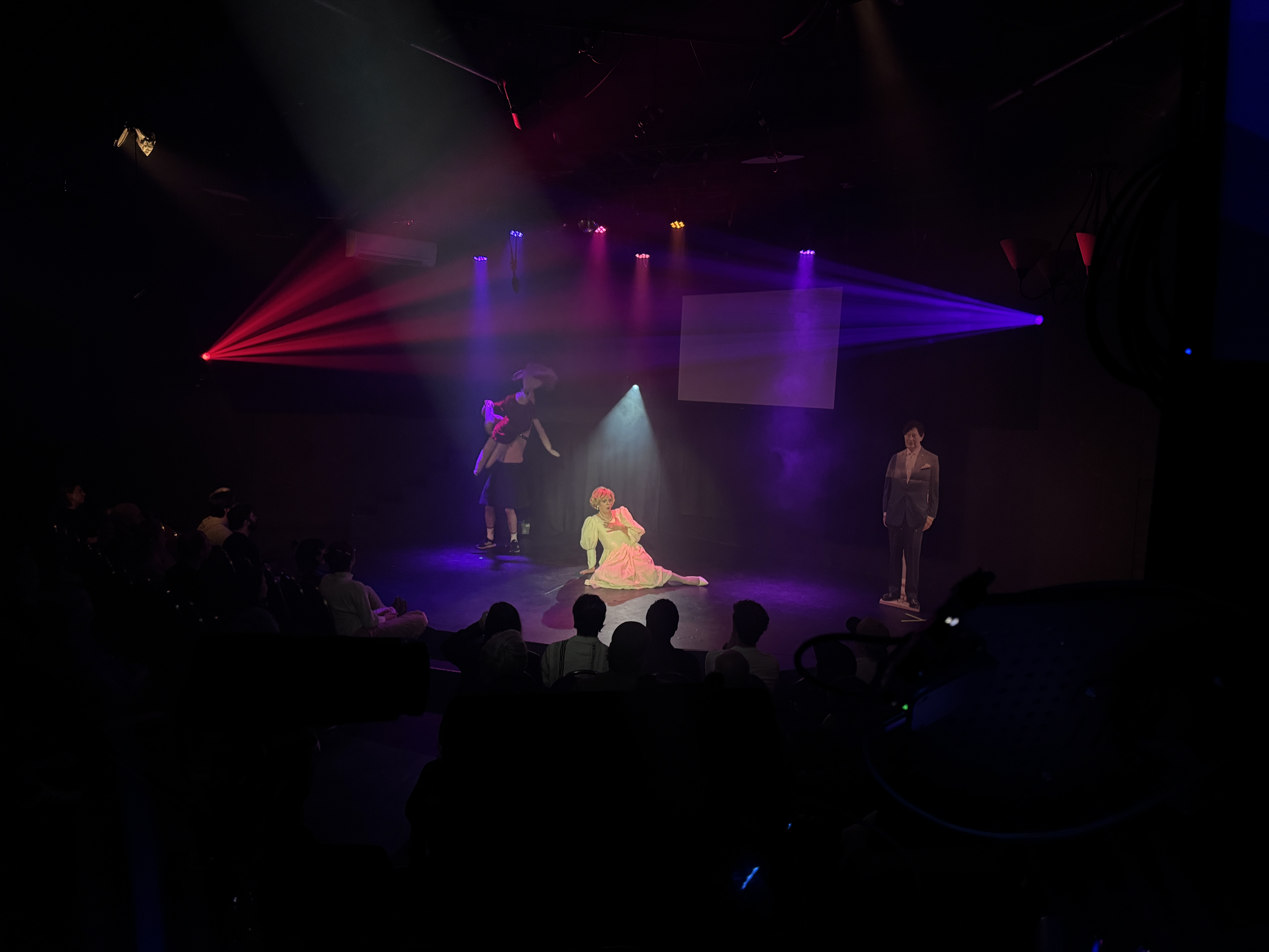 Diana: The Untold and Untrue Story gallery image 5